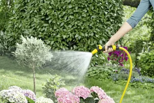 Шланг PrimoFlex ® 1/2" - 25 m Karcher №2