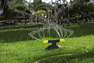 Дощувач круговий RS 120/2 Karcher №2