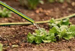 Шланг садовый 2E AquaFlex Emerald Pro 1/2" 20м 4 слоя 20бар -10…+60°C ороситель 2 коннектора адаптер №5