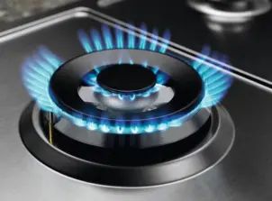 Варочная поверхность Electrolux газовая, 60см, чугун, нерж. №10