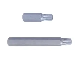 Бита торцевая 10 мм TORX T55 (уп.12)