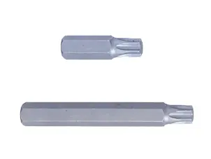 Бита торцевая 10 мм TORX T55 (уп.12) №1