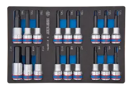 Набор торцевых головок 1/2", TORX, HEX, L=80 мм, ложемент, 18 предметов