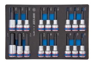 Набор торцевых головок 1/2", TORX, HEX, L=80 мм, ложемент, 18 предметов №1