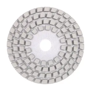 Круги алмазні полірувальні Круг 100x3x15 CleanPad #0 №1