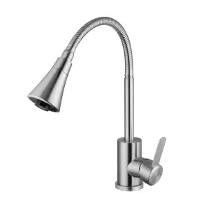 Смеситель для кухни Agua Elposo-INOX031 №5
