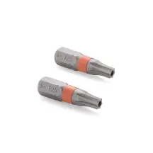 Биты S2 T-25x25 мм Tamper, 2шт Sturm 1274304