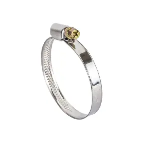 Хомут червячный нержавеющий 9мм D40-60мм 10шт SIGMA (2510111) №1