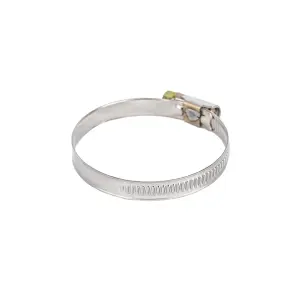 Хомут червячный нержавеющий 9мм D40-60мм 10шт SIGMA (2510111) №4