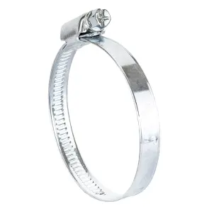 Хомут черв'ячний оцинкований 9мм D40-60мм 10шт SIGMA (2511111) №1