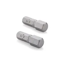 Биты S2 HEX8x25 мм, 2шт Sturm 1273305