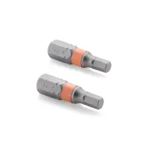 Биты S2 HEX4x25 мм, 2шт Sturm 1273302