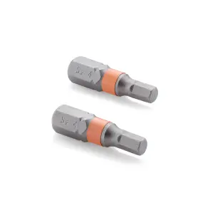 Биты S2 HEX4x25 мм, 2шт Sturm 1273302 №1