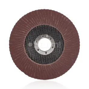 Круг зачистной лепестковый (125x22 №180) Sturm 9010-01-125-180 №2