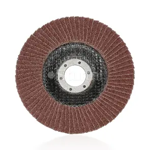 Коло зачистне пелюсткове (125x22 №40) Sturm 9010-01-125-40 №2
