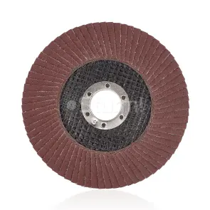 Коло зачистне пелюсткове (125x22 №100) Sturm 9010-01-125-100 №2