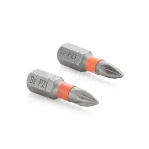 Біти S2 PZ1x25 мм, 2шт Sturm 1272301 №1