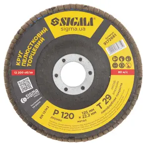 Круг пелюстковий торцевий Т29 (конічний) Ø125мм P120 SIGMA (9172661) №2