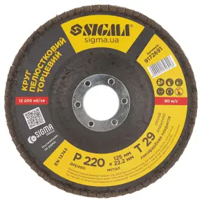 Круг пелюстковий торцевий Т29 (конічний) Ø125мм P220 SIGMA (9172691) №2