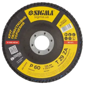 Круг пелюстковий торцевий Т29 (конічний) ZA Ø125мм P60 SIGMA (9173531) №2