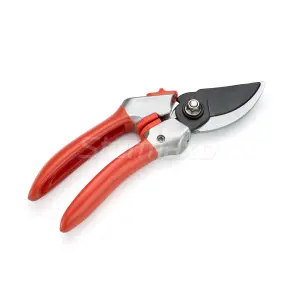 Sturmax 3012M-06-02 Секатор №2