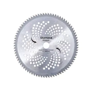 Sturmax BTAM022P Диск твердосплавний для тримера 255мм 80 зубів Professional №1