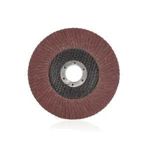 Sturmax 9010M-01-125-100 Коло зачистне пелюсткове (125×22 №100) №1