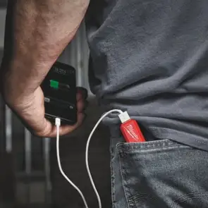 Аккумулятор Li-Ion Повербанк 2,1А PPS-301 с зарядным устройством USB L4 MILWAUKEE 4932493335 №2