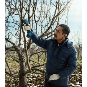 Аккумуляторный секатор Bosch Pro Pruner (2х12 В, 3 А*ч) (06019K1021) №5