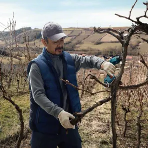 Аккумуляторный секатор Bosch Pro Pruner (2х12 В, 3 А*ч) (06019K1021) №6