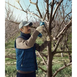Аккумуляторный секатор Bosch Pro Pruner (2х12 В, 3 А*ч) (06019K1021) №8