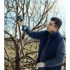 Аккумуляторный секатор Bosch Pro Pruner (2х12 В, 3 А*ч) (06019K1021) №9