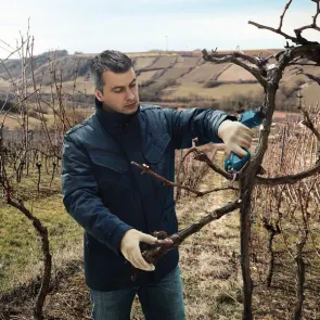 Аккумуляторный секатор Bosch Pro Pruner (2х12 В, 3 А*ч) (06019K1021) №12
