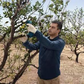 Аккумуляторный секатор Bosch Pro Pruner (2х12 В, 3 А*ч) (06019K1021) №13
