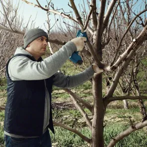 Аккумуляторный секатор Bosch Pro Pruner (2х12 В, 3 А*ч) (06019K1021) №14