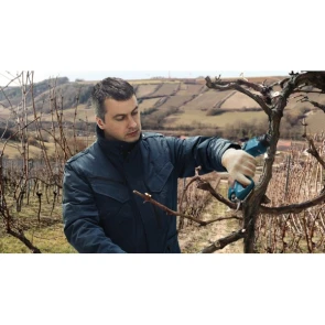 Акумуляторний секатор Bosch Pro Pruner (12 В, без АКБ) (06019K1020) №13
