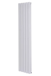 Дизайнерский вертикальный радиатор отопления ARTTIDESIGN Livorno II 5/1800/340 белый матовый №1