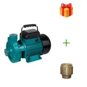 Насос відцентровий 0.75 кВт Hmax 19 м Qmax 250 л/хв AQUATICA 1DKa-20 (775074) №1