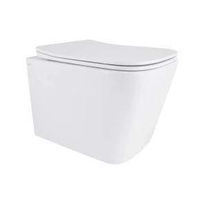 Унитаз подвесной Qtap Tern с сиденьем Soft-close QT17332303ASW №1