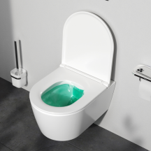 Підвісний унітаз 49 см FlashClean з сидінням мікроліфт AM.PM C8F1700SC Func