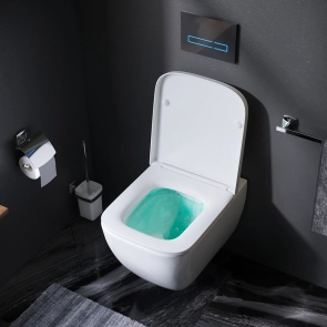 Підвісний унітаз FlashClean з сидінням мікроліфт AM.PM C901701SC Gem №2