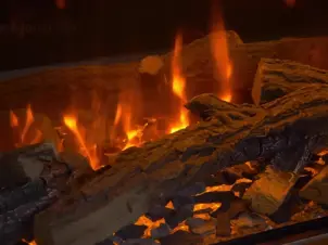 Електрокамін British Fires NEW FOREST 1200 №9
