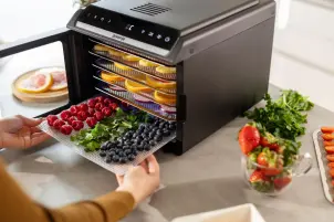 Сушарка для продуктів Gorenje 580Вт, піддонів - 6x1.5см, діаметр - 25см, макс - 75°С, дисплей, пластик+метал, чорний №9