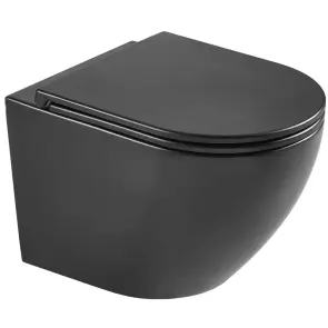 Унітаз підвісний Mixxus Premium Ellipse-0303-R Black 520x365x360mm, система змиву RIMLESS (MP6464) №1