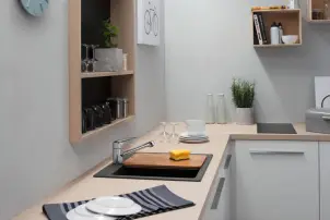 Смеситель для кухни Hansgrohe Focus M42, длина излива - 203мм, поворотный, 1рычаг, KM100, сталь. №3