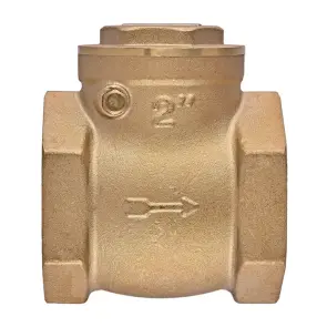 Клапан зворотний пелюстковий Koer KR.174-50 - 2" Т-подібний (KR5263) №1