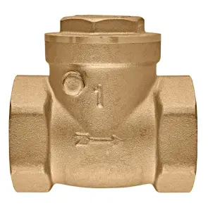 Клапан обратный лепестковый Koer KR.174-25 - 1" Т-образный (KR5260) №1