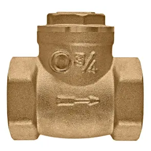 Клапан обратный лепестковый Koer KR.174-20 - 3/4" Т-образный (KR5259) №1