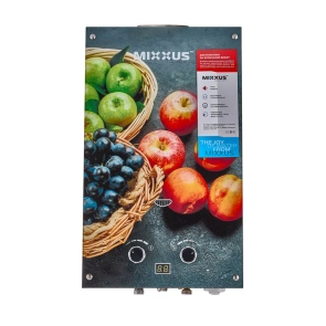 Газова колонка MIXXUS GWH-0310 BASIC GLASS димохідна 10 л/хв (панель зі скла з малюнком) (WH00 №7