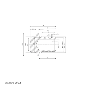 Заглушка Koer KA.P20 - 20(2.8mm) (KR4898) №3